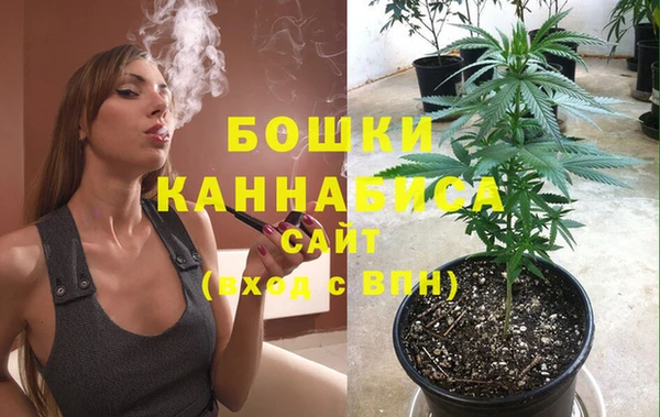 СК Вяземский