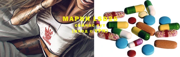 СК Вяземский
