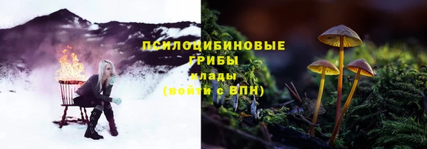 кокс Калининец