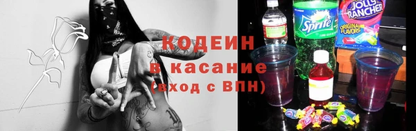стаф Вязьма