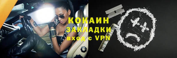 стаф Вязьма