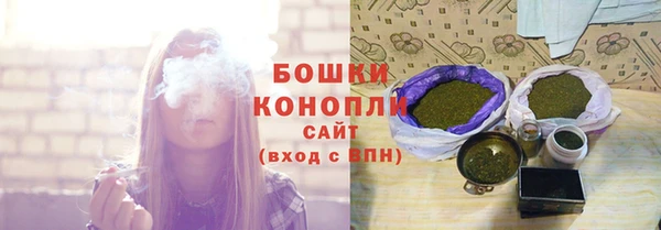 стаф Вязьма