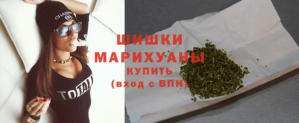 стаф Вязьма
