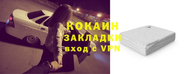 стаф Вязьма