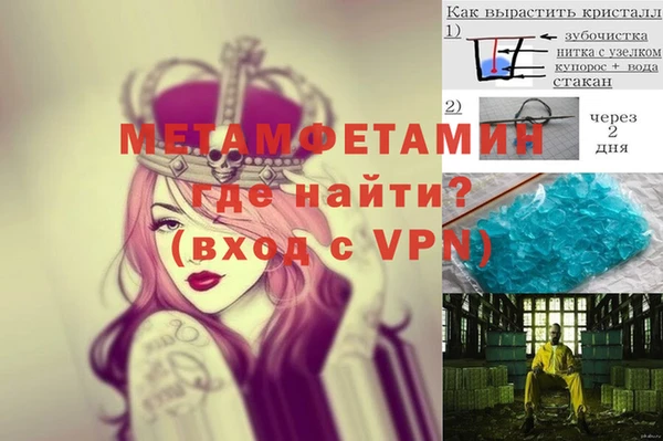стаф Вязьма
