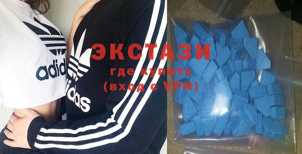 стаф Вязьма