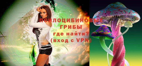 СК Вяземский